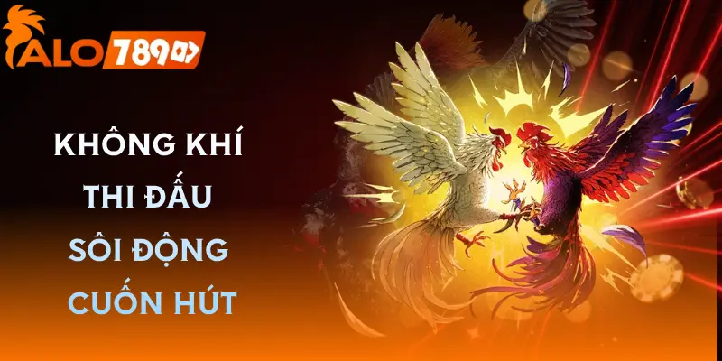 da-ga-alo789-kham-pha-suc-hut